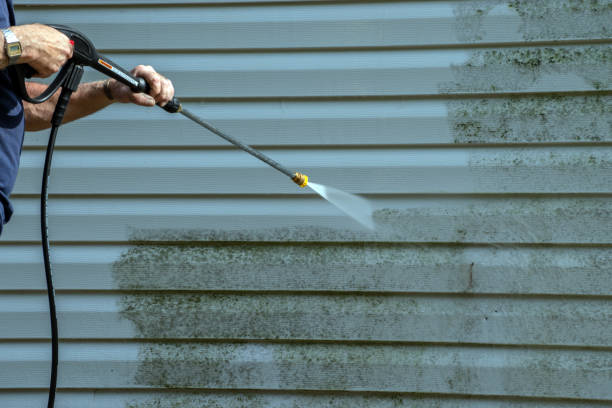 Best Pressure Washing Services Near Me  in Cusseta, GA